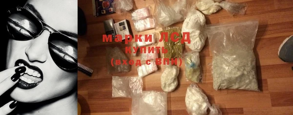 индика Абаза