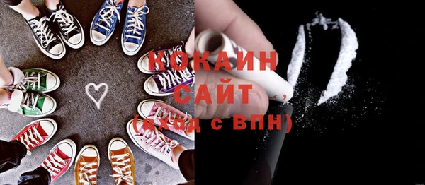 индика Абаза