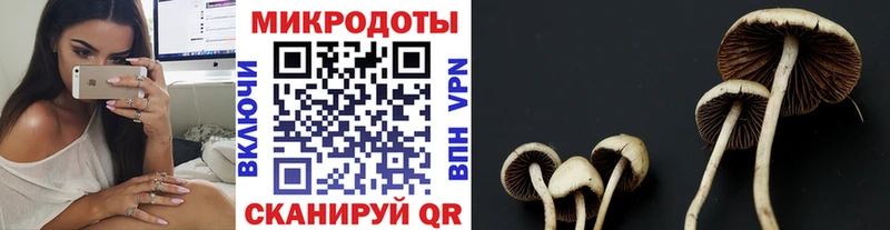 Псилоцибиновые грибы мухоморы  Красково 